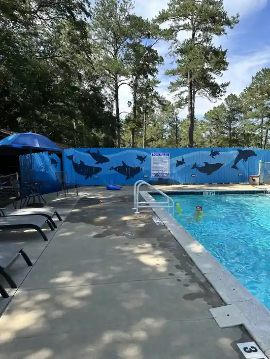 Pool with a blue shark mural painted on the wall behind it