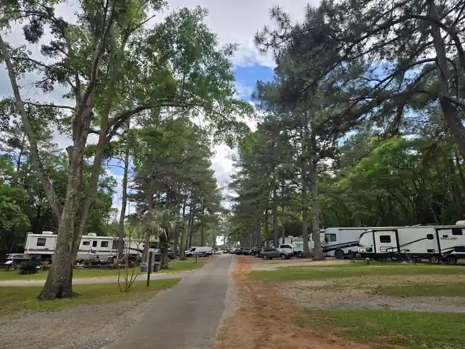 Tree-lined park road between long rows of travel trailers and fifth wheels