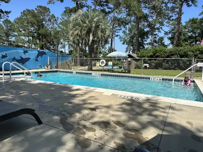 Swimming pool with ladders and palm trees beside the deck