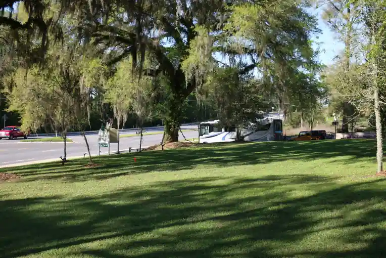 Mown lawn under a live oak hung with Spanish moss beside the park road
