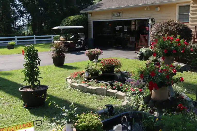 Garden planter by the park road with a golf cart beyond