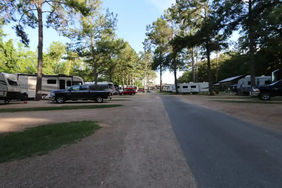 Gravel park road with RVs parked on either side