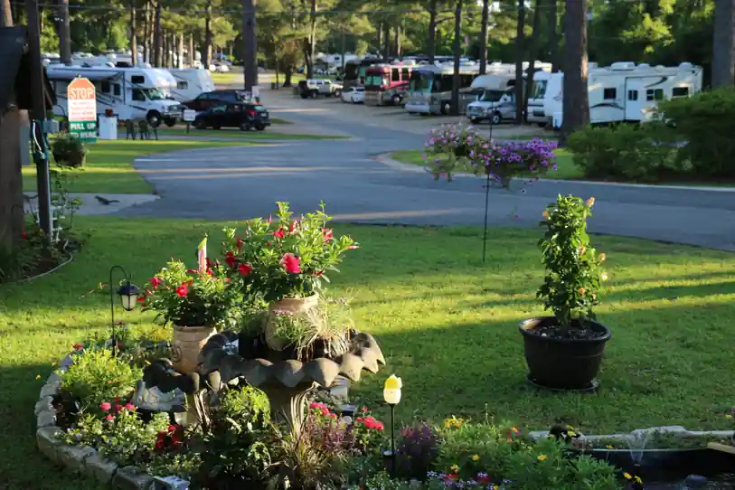 Planter garden of red geraniums in front of parked RVs